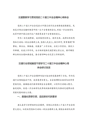 （9篇）交通警察学习贯彻党的二十届三中全会精神心得体会（精选）.docx