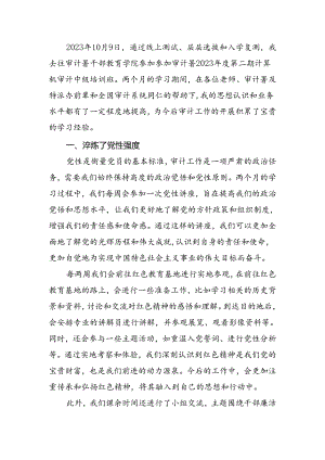 计算机审计中级培训总结.docx