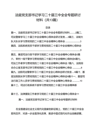 （13篇）法庭党支部书记学习二十届三中全会专题研讨材料范文.docx
