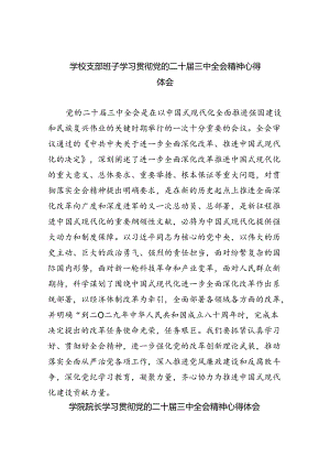 （8篇）学校支部班子学习贯彻党的二十届三中全会精神心得体会集合.docx
