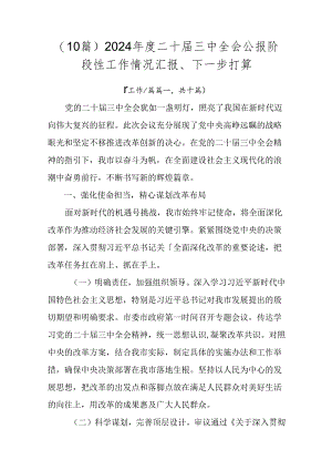 （10篇）2024年度二十届三中全会公报阶段性工作情况汇报、下一步打算.docx