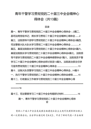 （13篇）青年干警学习贯彻党的二十届三中全会精神心得体会优选.docx