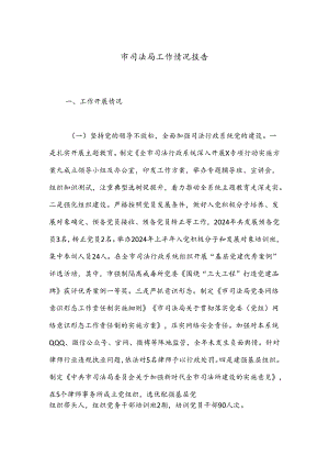 市司法局工作情况报告.docx