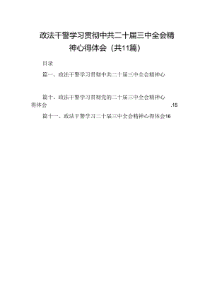 （11篇）政法干警学习贯彻中共二十届三中全会精神心得体会（精选）.docx