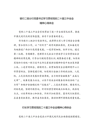 （9篇）银行二级分行党委书记学习贯彻党的二十届三中全会精神心得体会（详细版）.docx