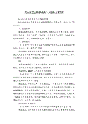 民主生活会班子成员个人整改方案3篇.docx
