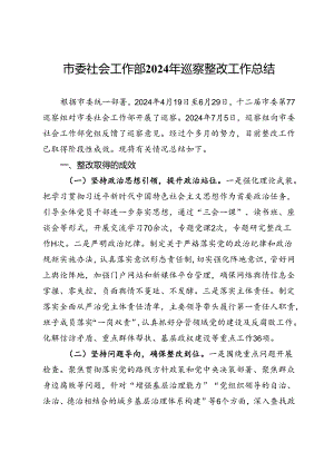 市委社会工作部2024年巡察整改工作总结.docx