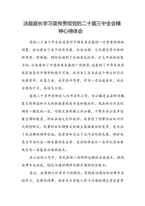 法庭庭长学习宣传贯彻党的二十届三中全会精神心得体会.docx