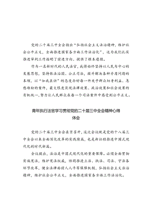 法官学习贯彻党的二十届三中全会精神心得体会(精选五篇汇编).docx