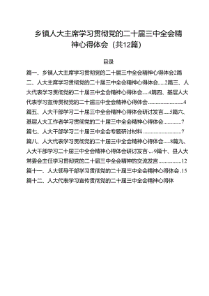 乡镇人大主席学习贯彻党的二十届三中全会精神心得体会12篇供参考.docx