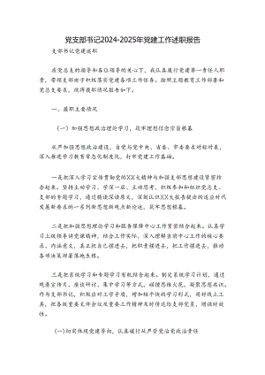 党支部书记2024-2025年党建工作述职报告.docx