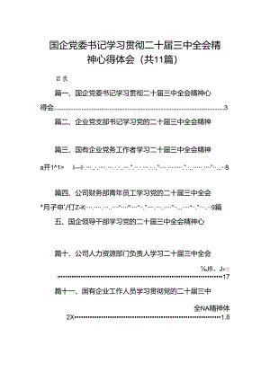 （11篇）国企党委书记学习贯彻二十届三中全会精神心得体会（精选）.docx