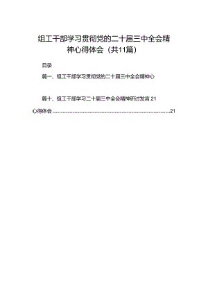 （11篇）组工干部学习贯彻党的二十届三中全会精神心得体会（精编版）.docx