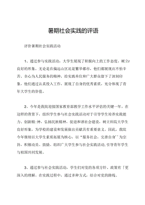 暑期社会实践的评语.docx