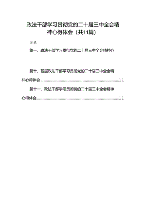 （11篇）政法干部学习贯彻党的二十届三中全会精神心得体会范本精选.docx