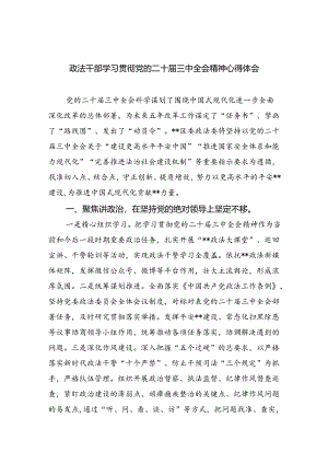 政法干部学习贯彻党的二十届三中全会精神心得体会 （汇编5份）.docx