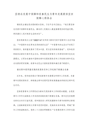 坚持在发展中保障和改善民生为青年发展提供坚实保障心得体会.docx