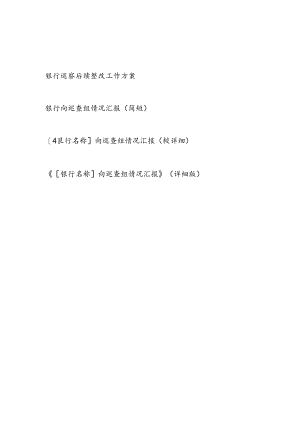 银行接受巡察后向巡查组情况汇报和巡察后续整改工作方案.docx