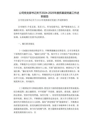 公司党支部书记关于2024-2025年度抓基层党建工作述职报告.docx