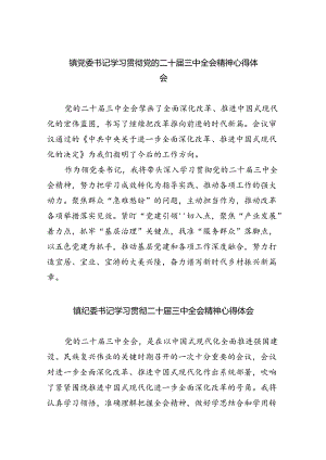 （9篇）镇党委书记学习贯彻党的二十届三中全会精神心得体会最新.docx