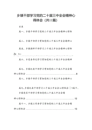 （11篇）乡镇干部学习党的二十届三中全会精神心得体会范文.docx