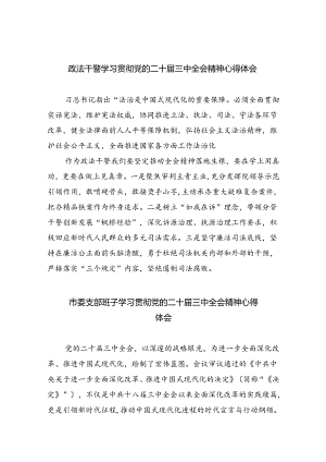 （8篇）政法干警学习贯彻党的二十届三中全会精神心得体会范文.docx