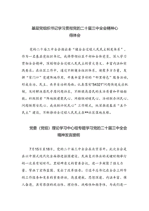 （9篇）基层党组织书记学习贯彻党的二十届三中全会精神心得体会优选.docx