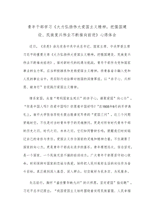 青年干部学习《大力弘扬伟大爱国主义精神把强国建设、民族复兴伟业不断推向前进》心得体会.docx