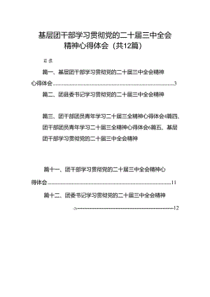 基层团干部学习贯彻党的二十届三中全会精神心得体会12篇(最新精选).docx