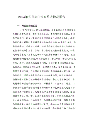 2024年县直部门巡察整改情况报告.docx