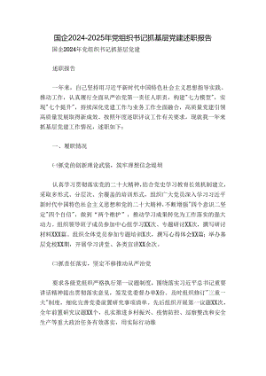 国企2024-2025年党组织书记抓基层党建述职报告.docx