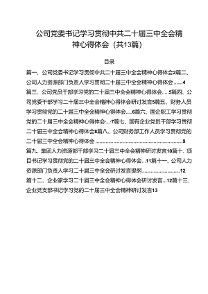 （13篇）公司党委书记学习贯彻中共二十届三中全会精神心得体会范文.docx