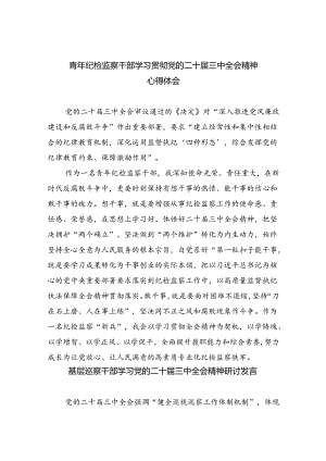 （9篇）青年纪检监察干部学习贯彻党的二十届三中全会精神心得体会（精选）.docx