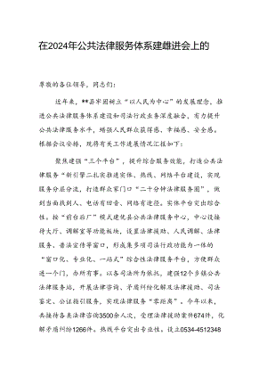 在2024年公共法律服务体系建设推进会上的汇报发言范文.docx