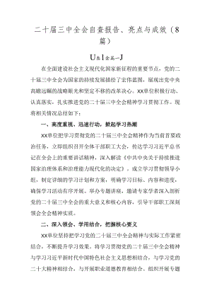 二十届三中全会自查报告、亮点与成效（8篇）.docx