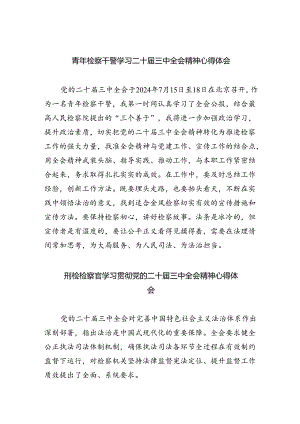 青年检察干警学习二十届三中全会精神心得体会（共八篇选择）.docx