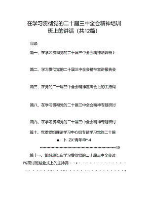 (12篇)在学习贯彻党的二十届三中全会精神培训班上的讲话（精选）.docx
