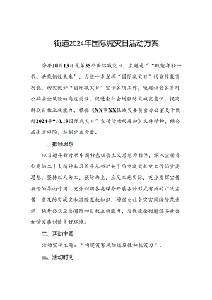 街道开展2024年国际减灾日活动的方案.docx