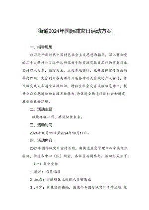 街道关于开展2024年国际减灾日活动的工作方案.docx