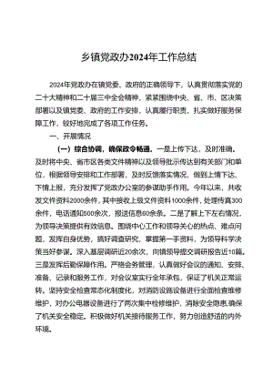 乡镇党政办2024年工作总结.docx