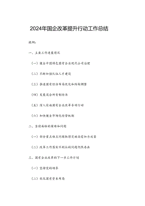 2024年国企改革提升行动工作总结.docx