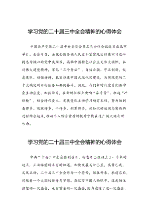 最新版学习贯彻党的二十届三中全会精神心得感悟10篇.docx