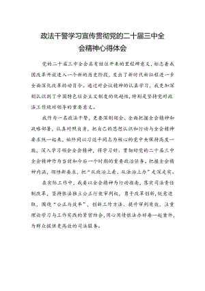 政法干警学习宣传贯彻党的二十届三中全会精神心得体会.docx