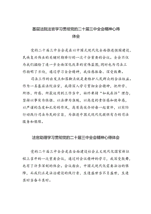 基层法院法官学习贯彻党的二十届三中全会精神心得体会5篇（详细版）.docx