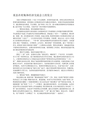 某县在村集体经济交流会上的发言.docx