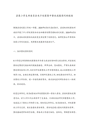 县某小学支部委员会关于巡察集中整改进展情况的报告.docx