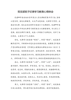 党支部班子纪律学习教育心得体会.docx