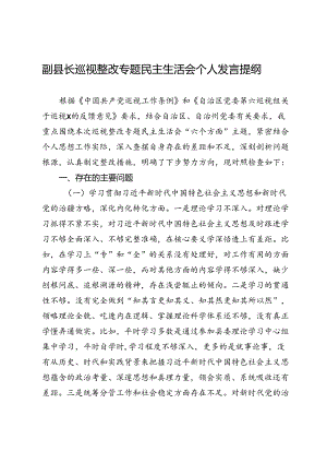 副县长巡视整改专题民主生活会个人发言提纲.docx