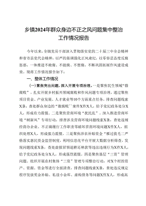 乡镇2024年群众身边不正之风问题集中整治工作情况报告.docx