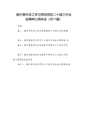 （11篇）银行青年员工学习贯彻党的二十届三中全会精神心得体会范文.docx